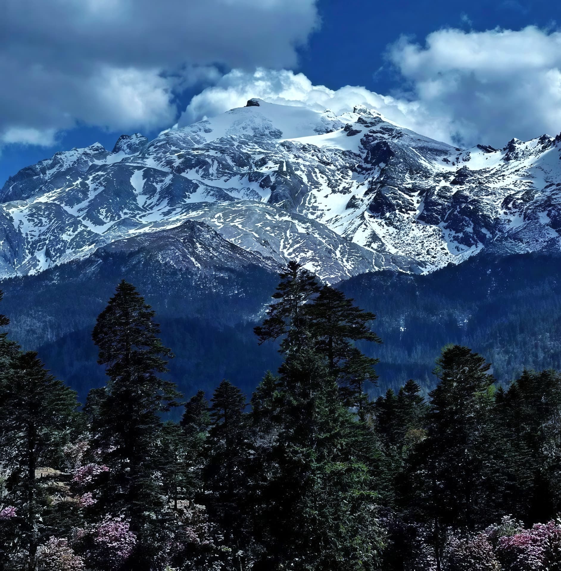 Snow-covered mountain slopes above forest in Yunnan